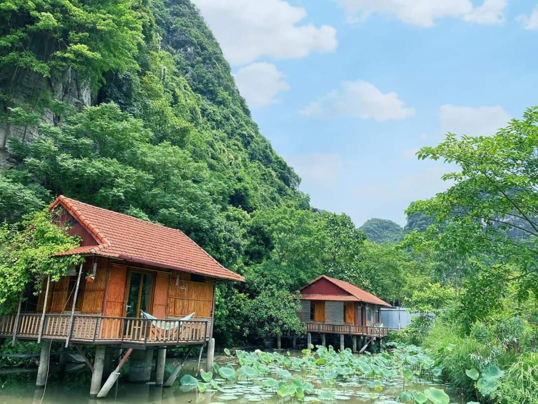 Lotus Field Homestay Ninh Binh Zewnętrze zdjęcie