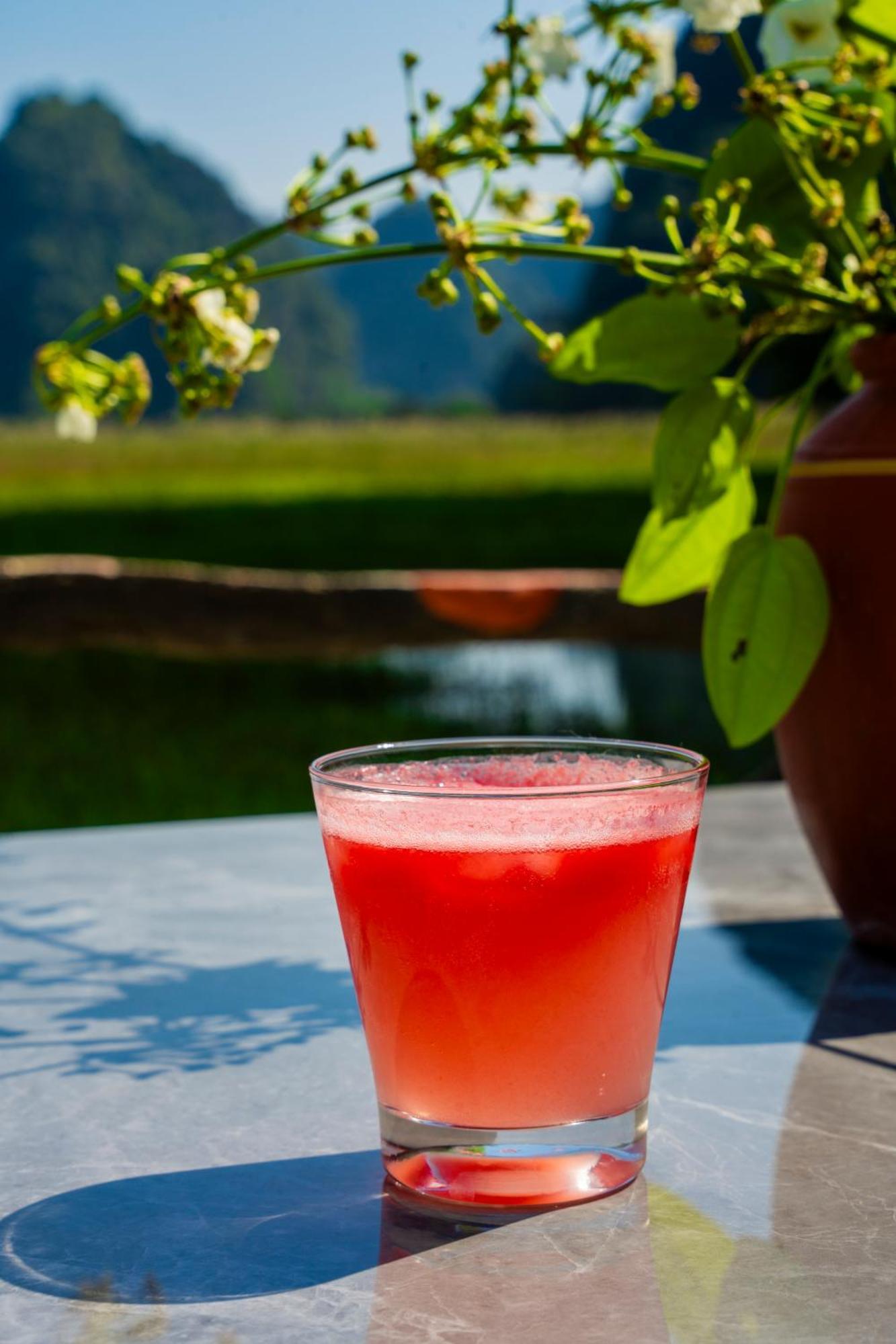 Lotus Field Homestay Ninh Binh Zewnętrze zdjęcie