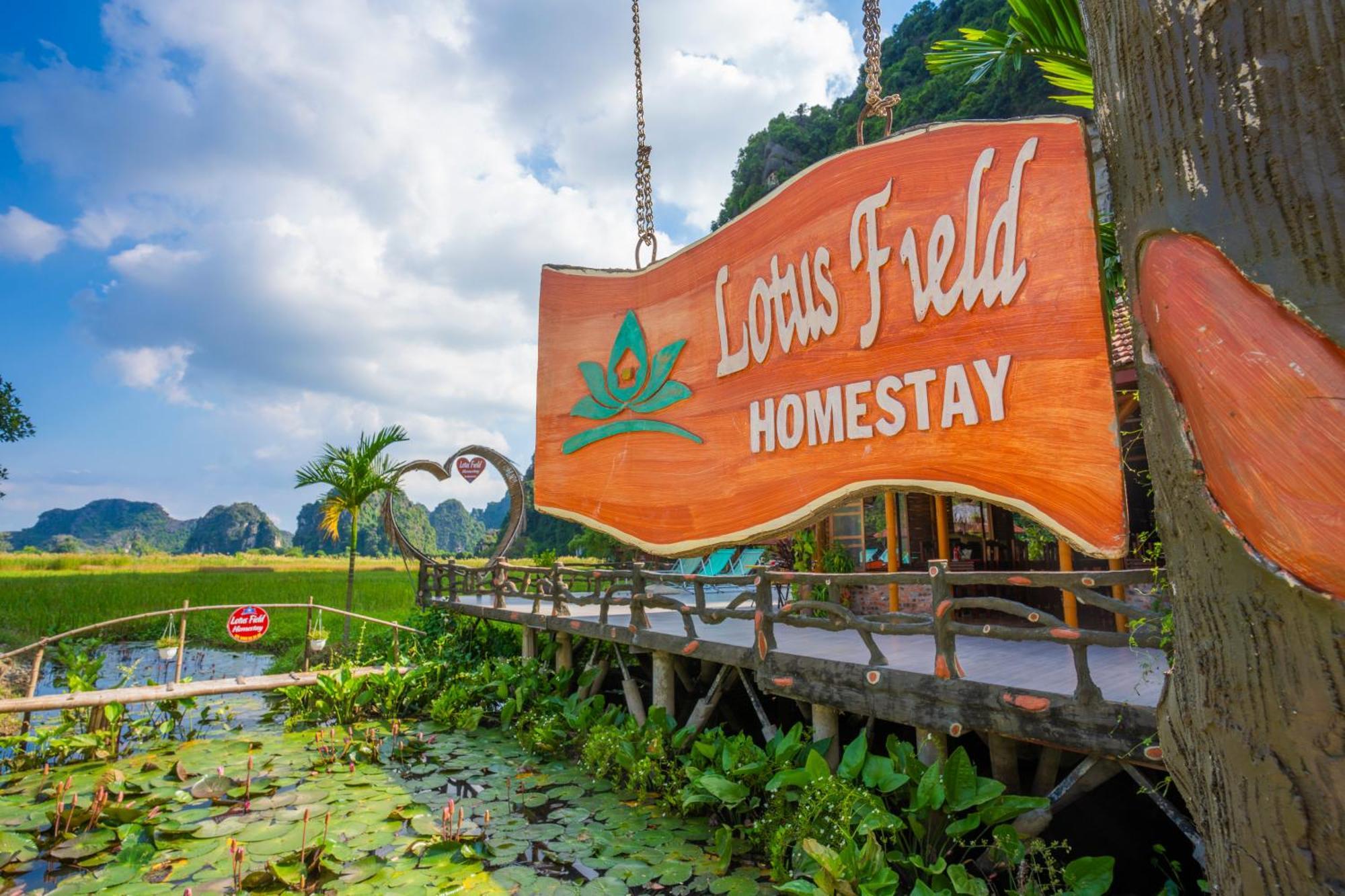 Lotus Field Homestay Ninh Binh Zewnętrze zdjęcie