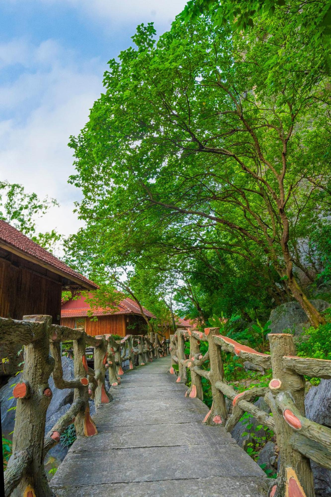 Lotus Field Homestay Ninh Binh Zewnętrze zdjęcie