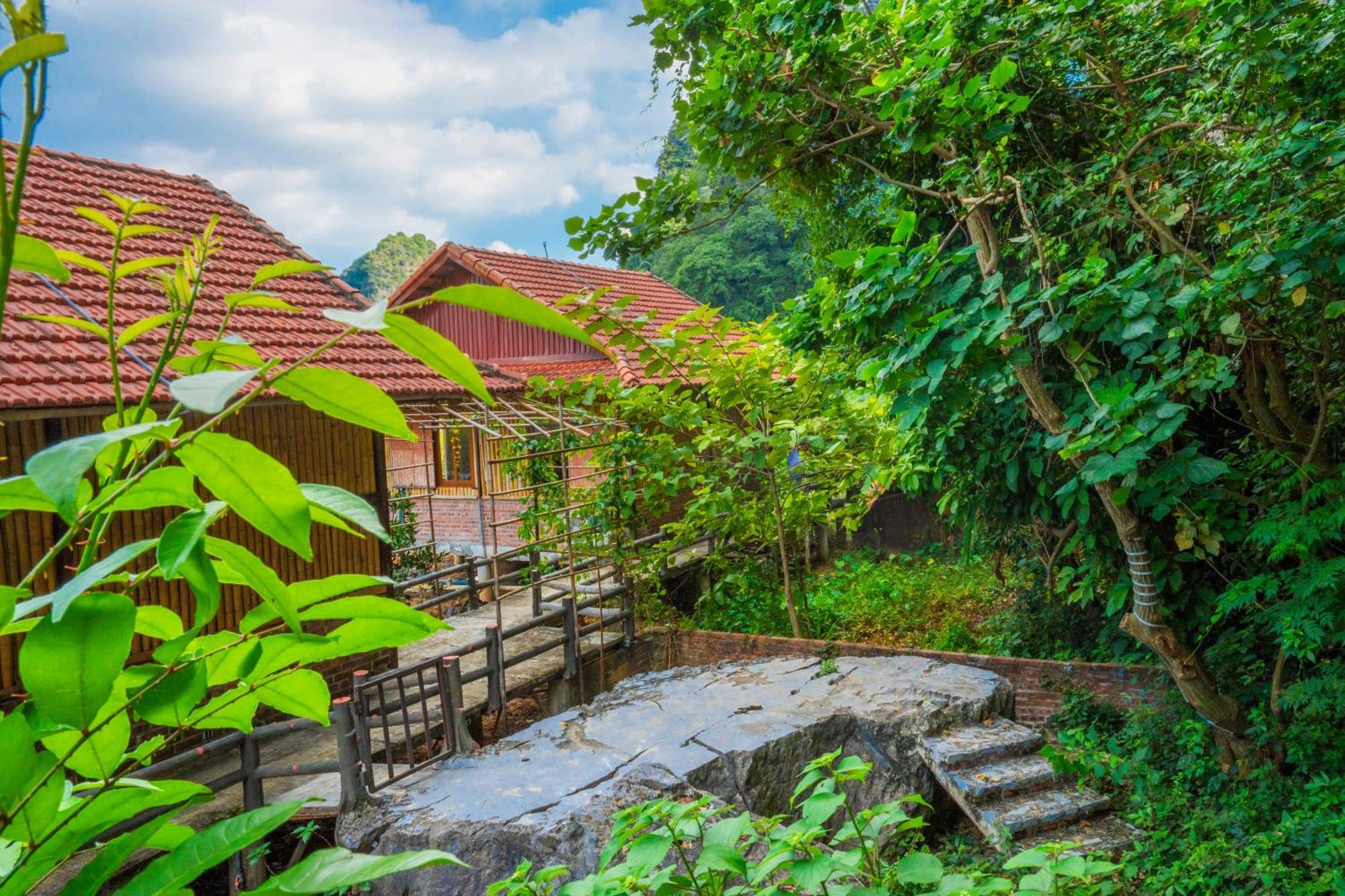 Lotus Field Homestay Ninh Binh Zewnętrze zdjęcie