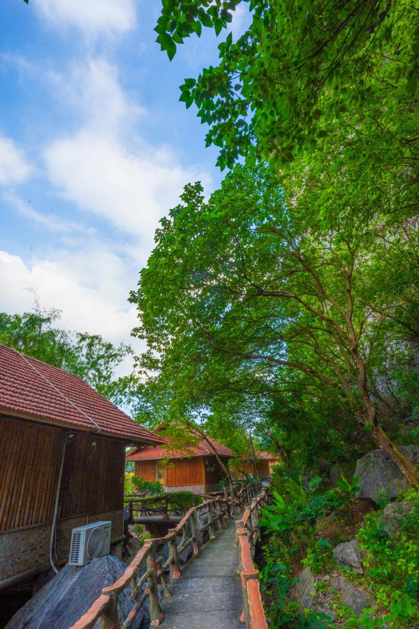 Lotus Field Homestay Ninh Binh Zewnętrze zdjęcie