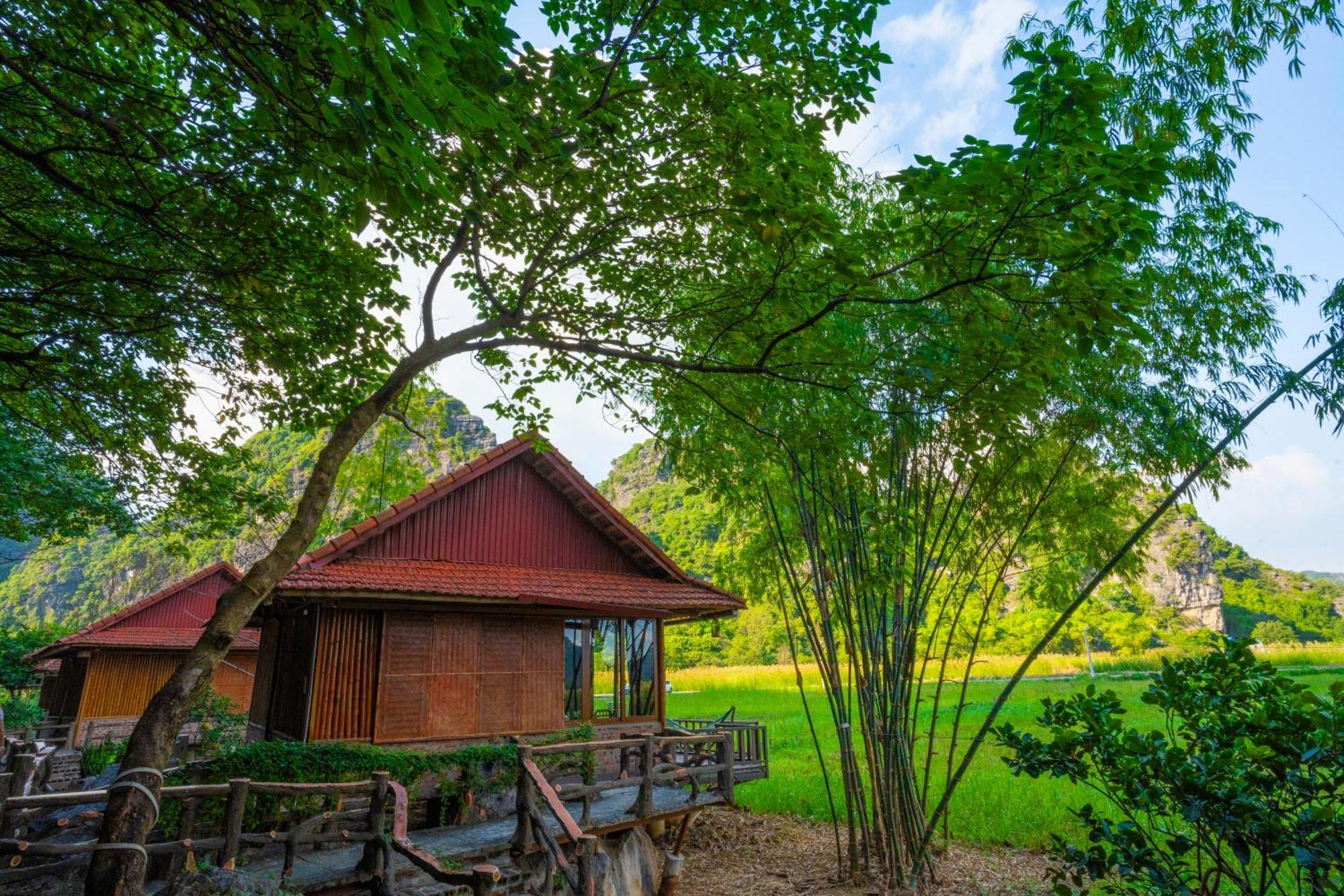 Lotus Field Homestay Ninh Binh Zewnętrze zdjęcie