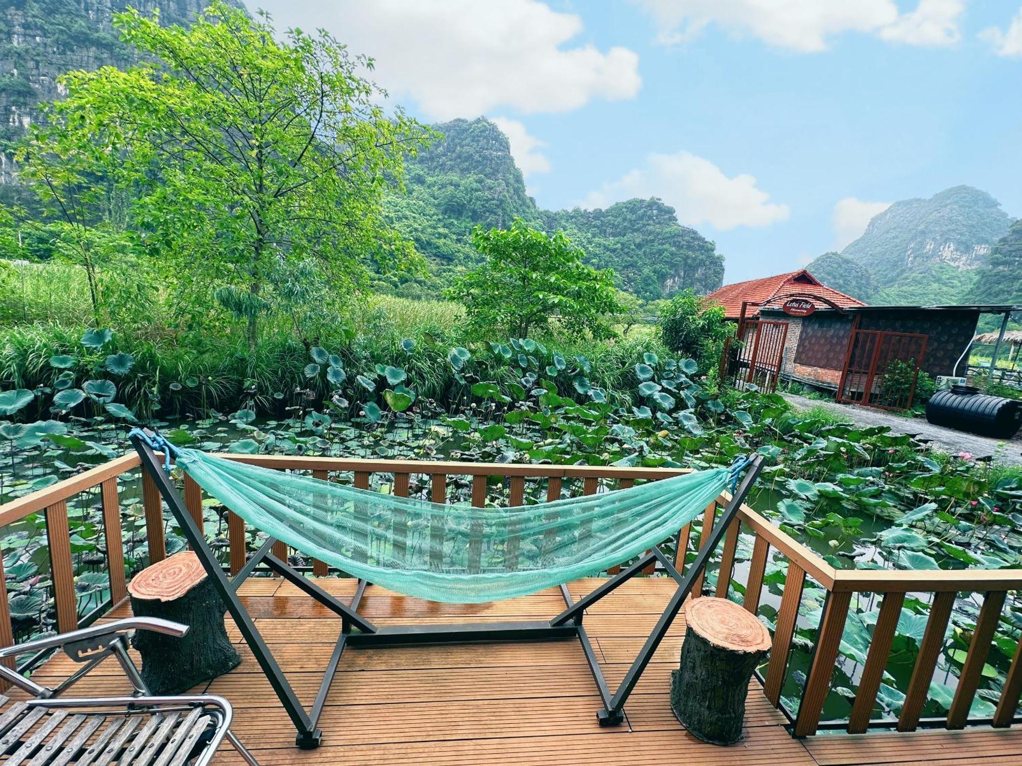 Lotus Field Homestay Ninh Binh Zewnętrze zdjęcie